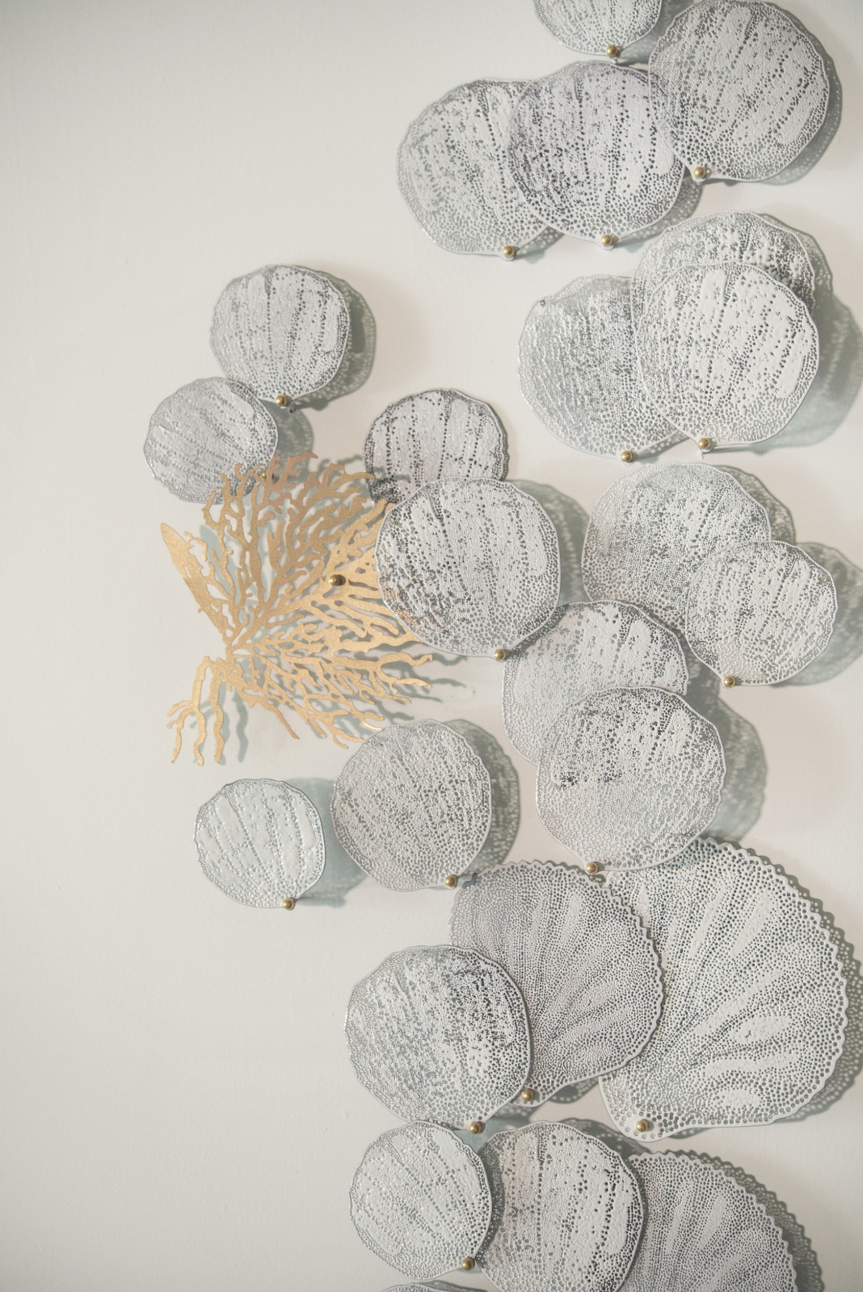 Flow of Water Series – Petrification